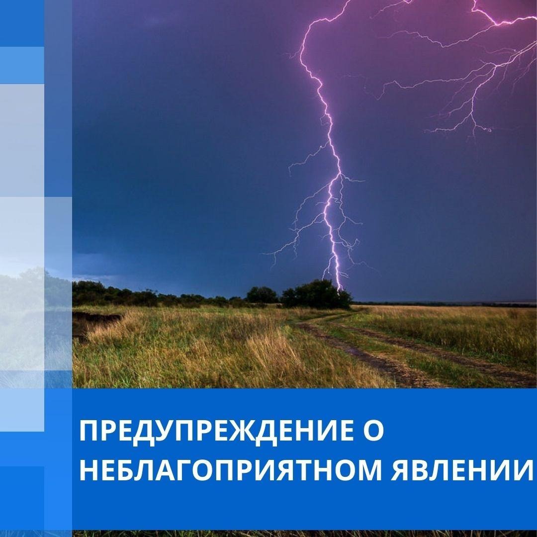 На юге Псковской области объявлено штормовое предупреждение, есть вероятность образования смерчей